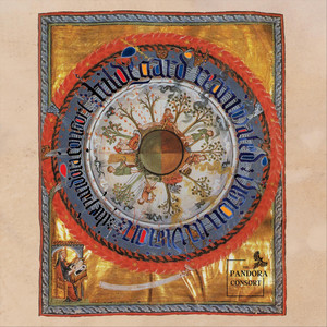 Hildegard Reanimated: Vision in Vision